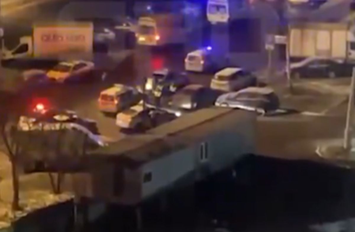 Okrutne znalezisko w gdańskim lesie. "Nielegalny proceder"