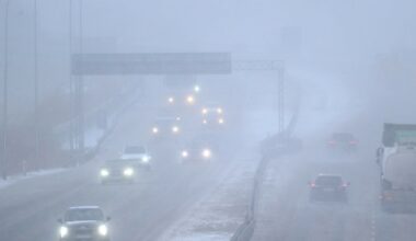 "Odwołujemy sylwestra". Prezydent Elbląga podał powody