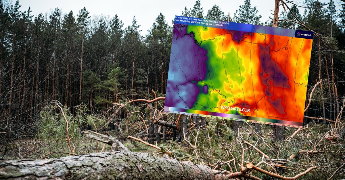 Ważne ostrzeżenie dla części Polski. Silna wichura to nie wszystko co przyniesie pogoda - Onet