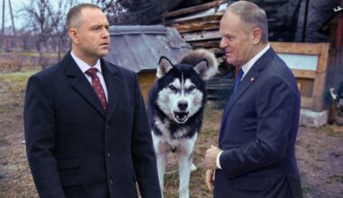 Autokar wypadł z ronda. Są poszkodowani