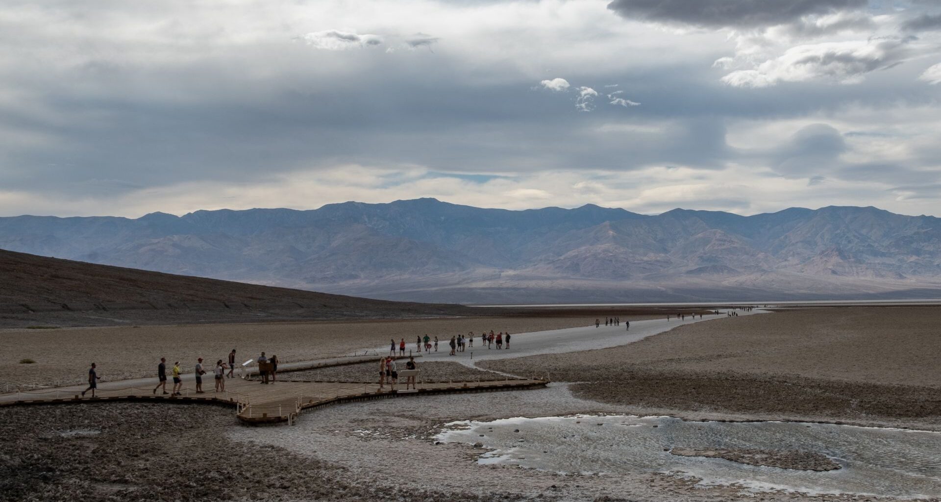 Grasują we włoskich miastach. "Wyrządzają szkody, ale je kochamy"