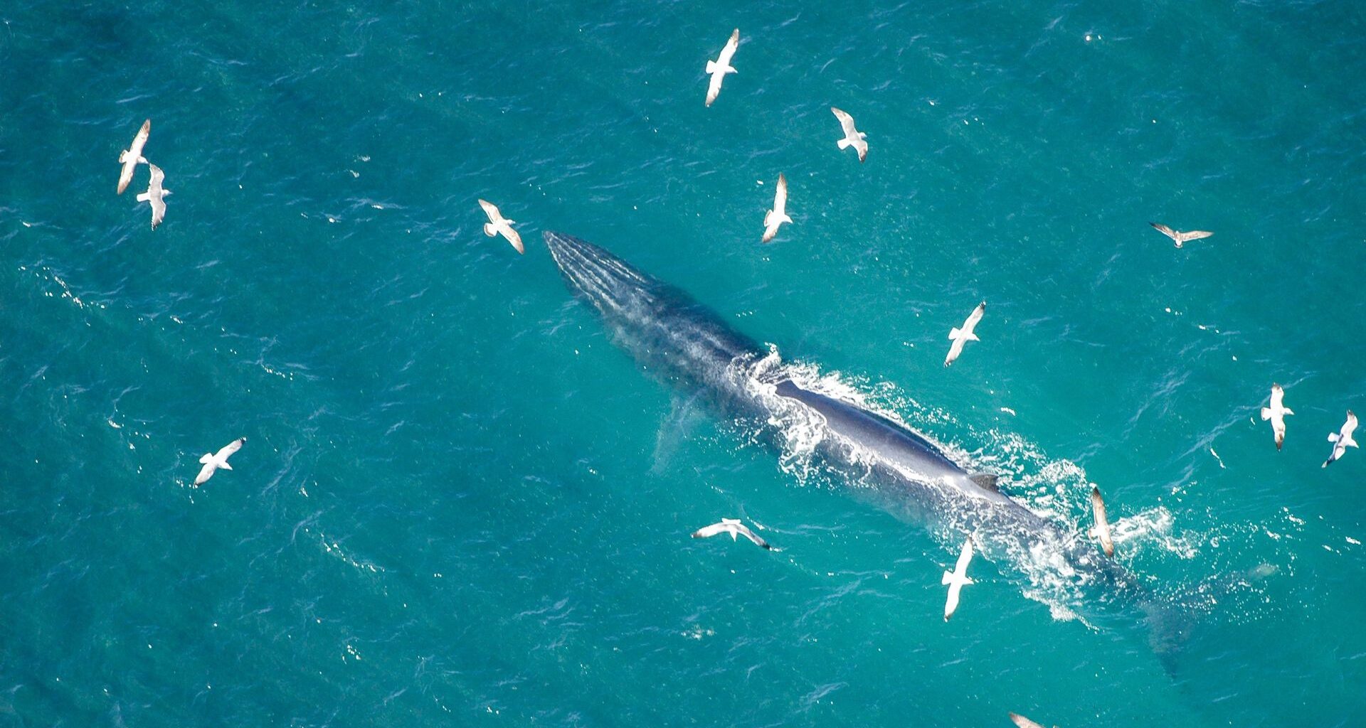 Zdumiewający pomysł. Rosyjski segment ISS będzie nową stacją kosmiczną