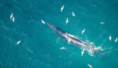 Zdumiewający pomysł. Rosyjski segment ISS będzie nową stacją kosmiczną