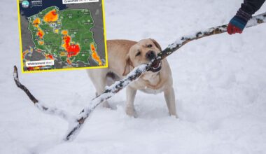 Nie żyje Miłosz Wyrostek. Miał tylko 23 lata