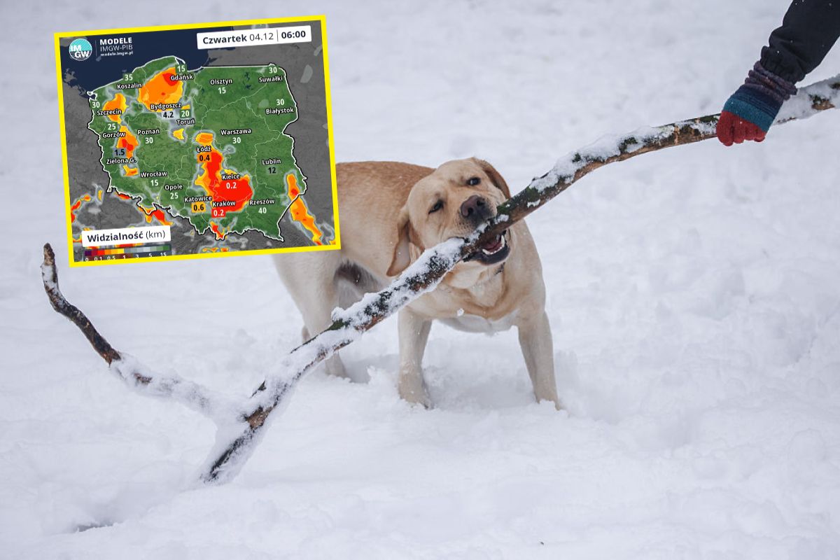 Nie żyje Miłosz Wyrostek. Miał tylko 23 lata