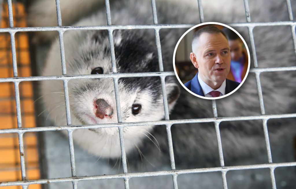 Jest ustawa i podpis, będą konsekwencje. Jak duży biznes znika?