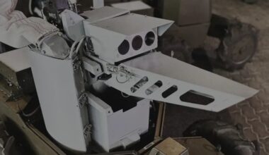 Sowa śnieżna uznana za regionalnie wymarłą. Była symbolem dzikiej północy