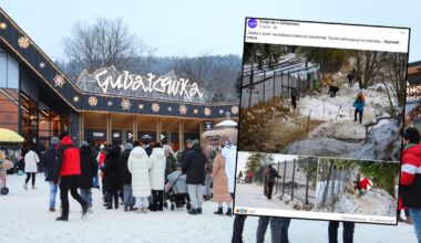 Tak w święta wchodzili na Gubałówkę. "Ekstremalna szkoła przetrwania"