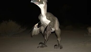 Zmasowany atak Rosjan. Tyle pocisków wystrzelili