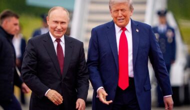 Zakażony dzik podrzucony. Będzie śledztwo w tej sprawie