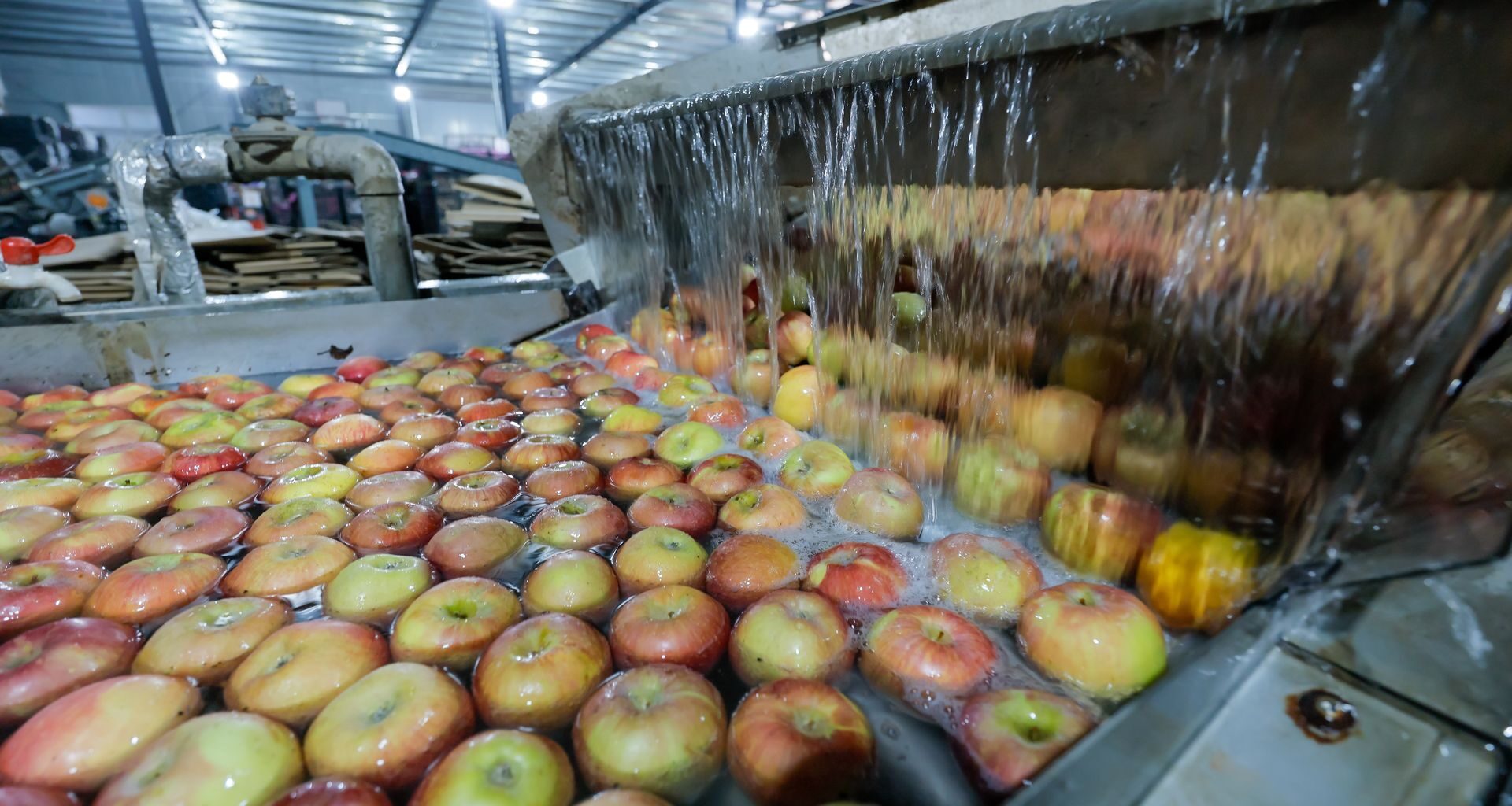 Ile kosztuje frank szwajcarski? Kurs franka do złotego PLN/CHF 29.12.2025