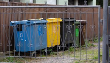 Musk triumfuje w sądzie. Jedną decyzją majątek urósł o 139 mld dolarów