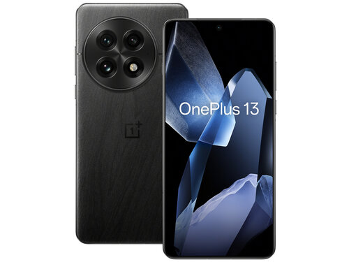 OnePlus 13