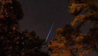 Rosja planuje nową broń przeciwko Starlink? Wywiad NATO ostrzega Zachód