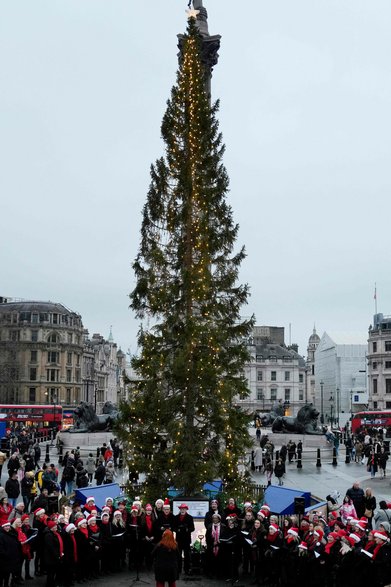 Chionka na Trafalgar Square