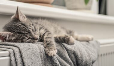 Czym najtaniej ogrzać dom? Nowe wyliczenia pokazują, które źródła ciepła są najbardziej opłacalne