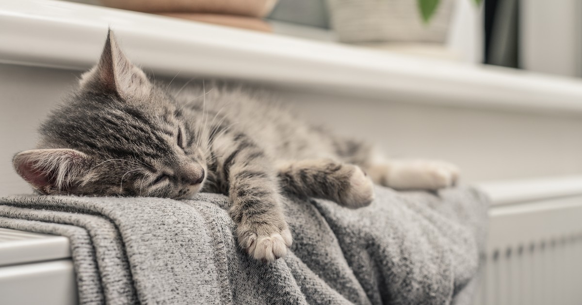 Czym najtaniej ogrzać dom? Nowe wyliczenia pokazują, które źródła ciepła są najbardziej opłacalne