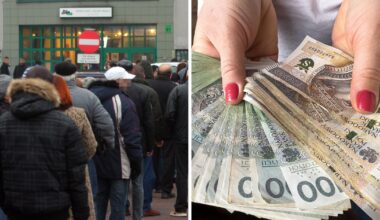 Praca bez doświadczenia dla Polaków. Płacą ponad 60 zł/godz.