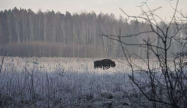 W procesie przygotowania planu wzięło udział ok. 2000 osób podczas 45 spotkań, seminariów i warsztatów