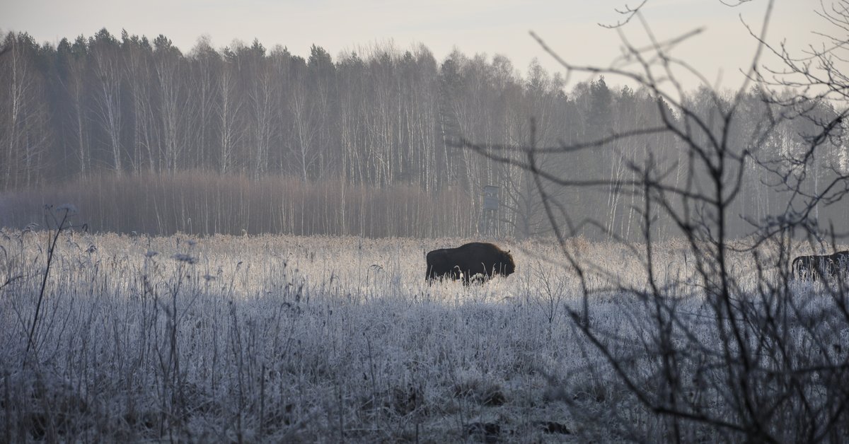 W procesie przygotowania planu wzięło udział ok. 2000 osób podczas 45 spotkań, seminariów i warsztatów