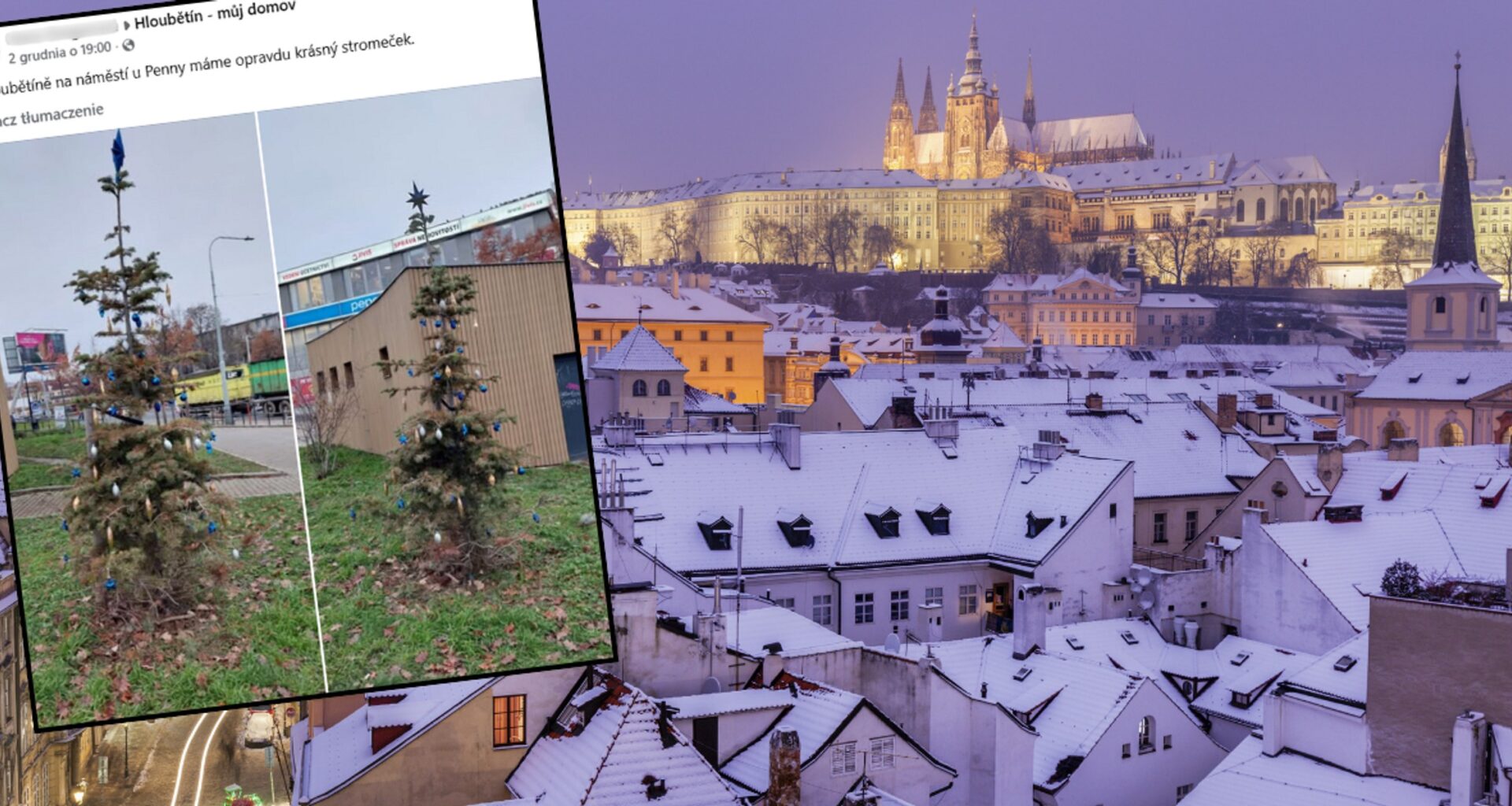 Choinka w Pradze wzbudziła duże emocje wśród mieszkańców (Screen: Facebook)