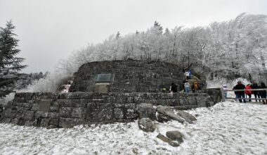 Trzylatek przetrwał trzy doby w górach. "Opowiedział, że zaopiekował się nim niedźwiedź"