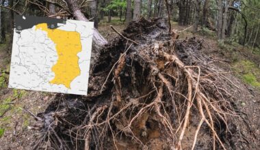 IMGW ostrzega przed silnym wiatrem. (screen: IMGW)