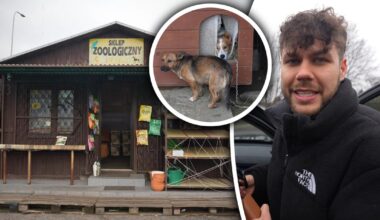 Co za gest znanego YouTubera. Wszedł do sklepu i zrobił coś niesamowitego