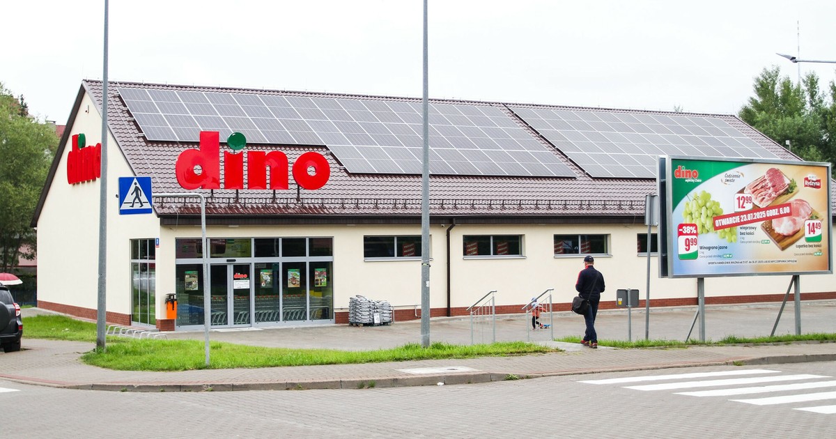 Dino pod lupą inspekcji pracy. Związkowcy zapowiadają zdecydowane kroki