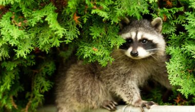 "Zimowy wirus" rozkręca się w USA. Jest obecny także w Polsce