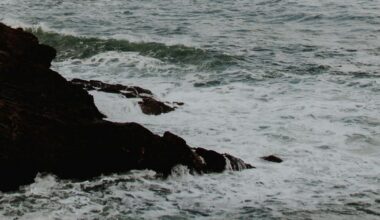 Obnażyli Putina. Nawet prorosyjscy blogerzy mówią inaczej