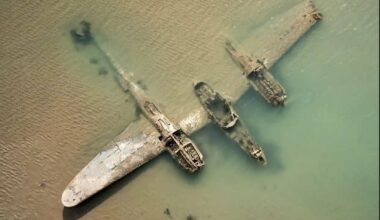 Wieloryby mogą żyć ponad sto lat. Sprawdzimy to za... sto lat