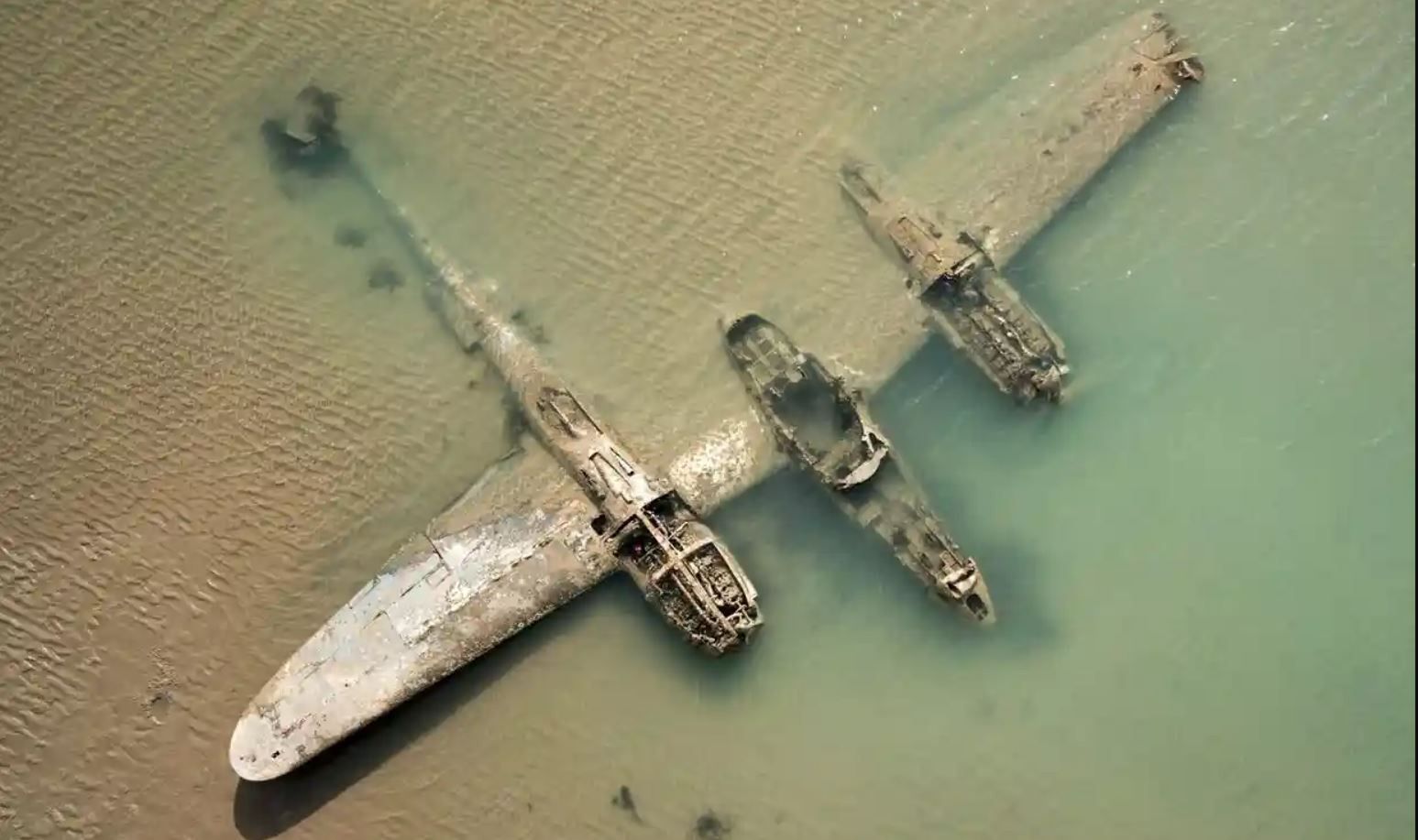 Wieloryby mogą żyć ponad sto lat. Sprawdzimy to za... sto lat