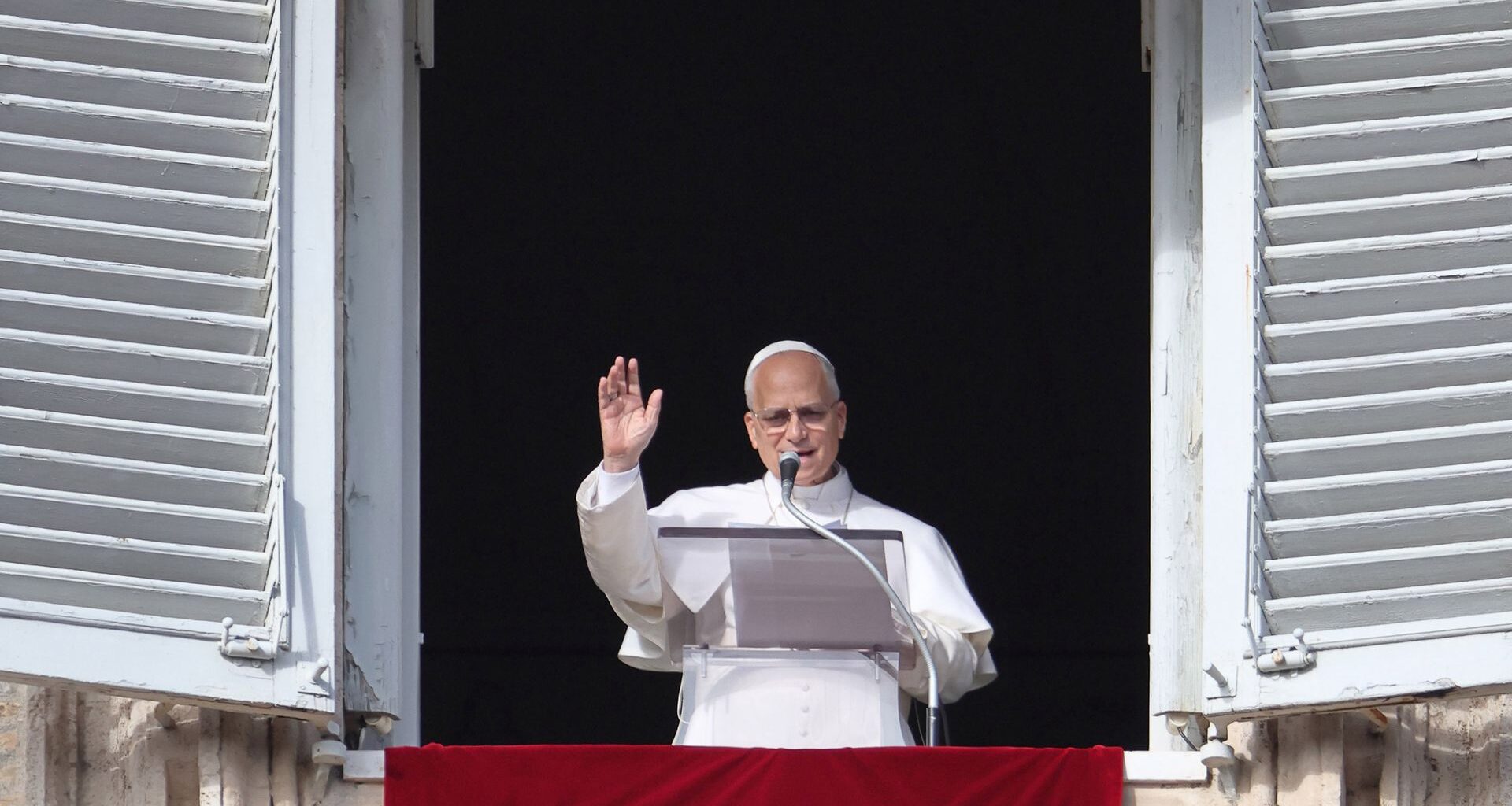 Delfiny w Odrze. Jest rozpoznanie. Pomylili je z morświnami