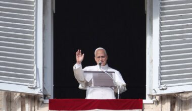 Delfiny w Odrze. Jest rozpoznanie. Pomylili je z morświnami