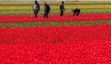 Nie żyje 10-latka z Gródka. Sprawę bada prokuratura