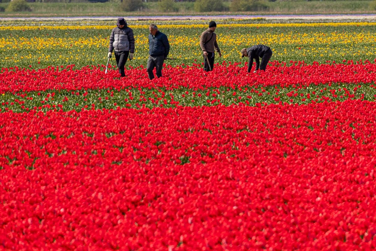 Nie żyje 10-latka z Gródka. Sprawę bada prokuratura