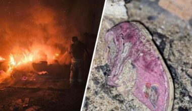 Śmierć górników w kopalni Pniówek. Polska podrywa myśliwce po ataku Rosji w Ukrainie [SKRÓT PORANKA]