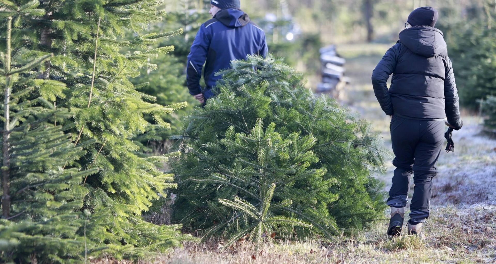 Leśnik był wściekły ws. samosiewu. Aż chwycił za telefon
