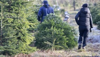 Leśnik był wściekły ws. samosiewu. Aż chwycił za telefon