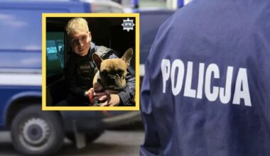 Czołowe zderzenie na Zakopiance. Droga jest już przejezdna