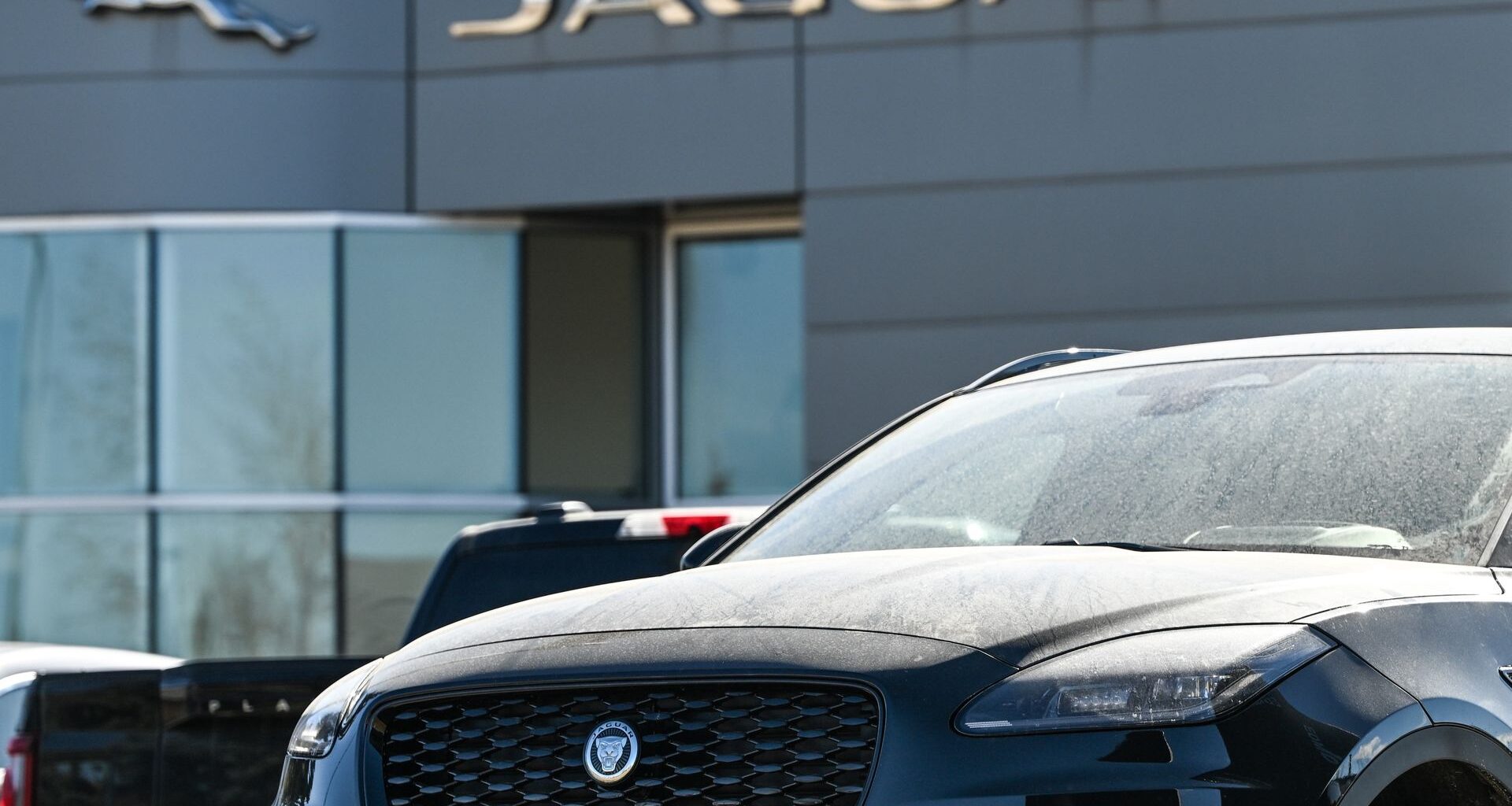 Ruszyły kontrole, kara to nawet 5 tys. zł. Co sprawdza straż miejska?