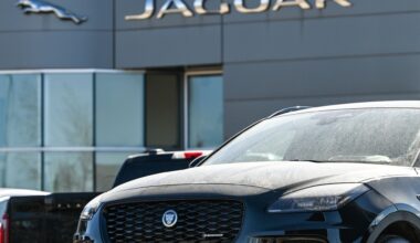 Ruszyły kontrole, kara to nawet 5 tys. zł. Co sprawdza straż miejska?