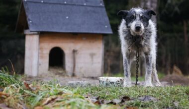 "Najtańsze od czterech lat". Oto ile będą kosztować wyjazdy na święta Bożego Narodzenia
