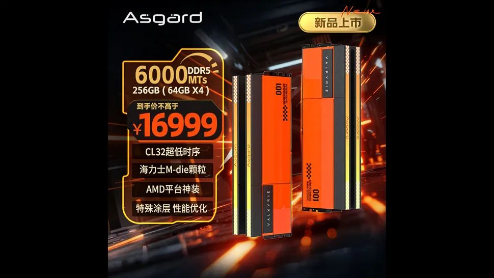 asgard 256 gb