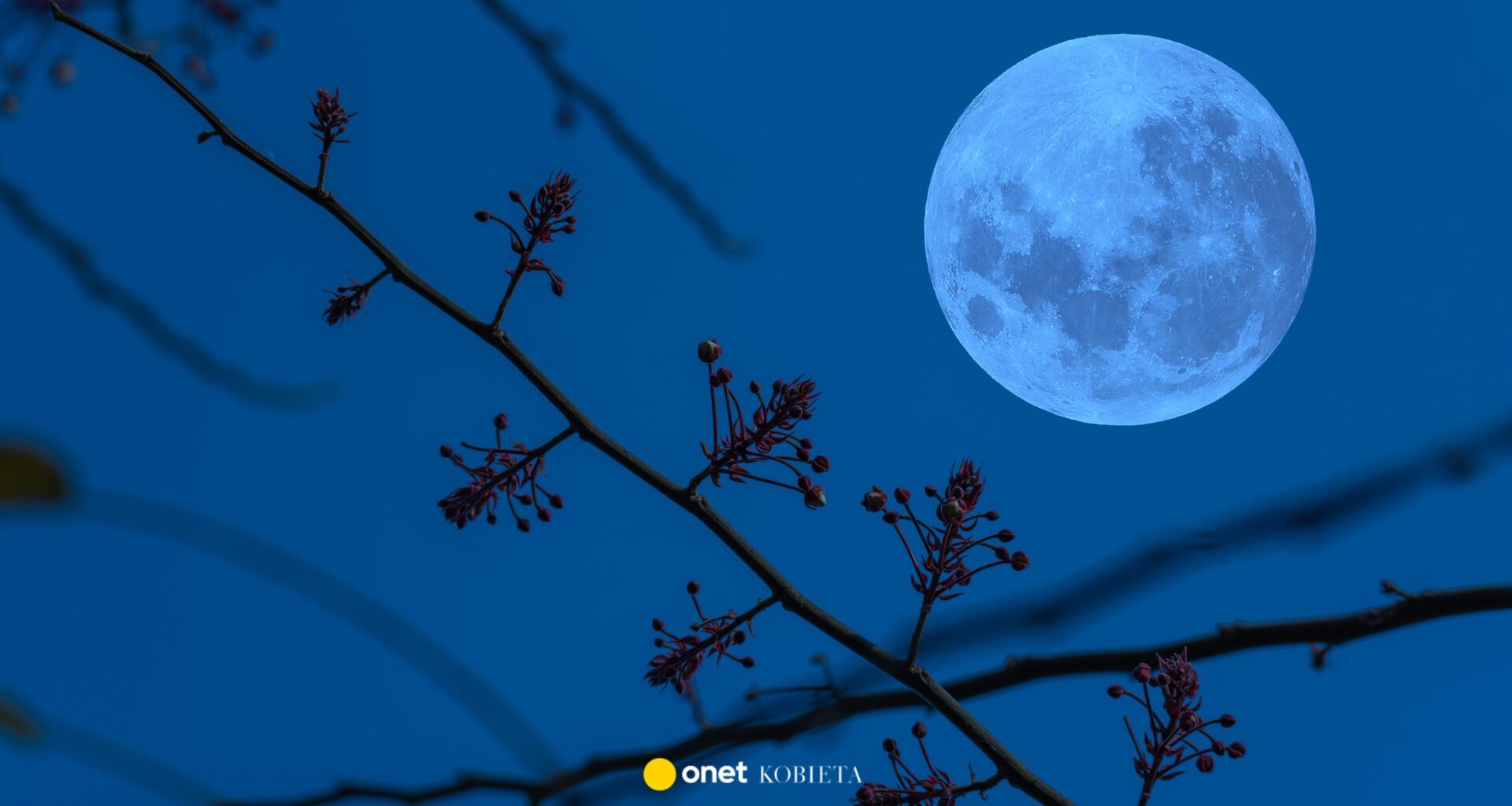 Zimny Księżyc i grudniowa pełnia. Kiedy najlepiej podziwiać to zjawisko?