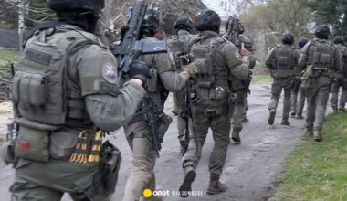 Wynajmowali niepozorne domy i zakładali plantacje konopi. Serbski gang rozbity