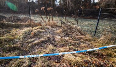 Miejsce znalezienia ciała 11-latki