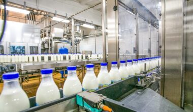 Koniec 90-letniej historii. Polski gigant mleczarski zbankrutował