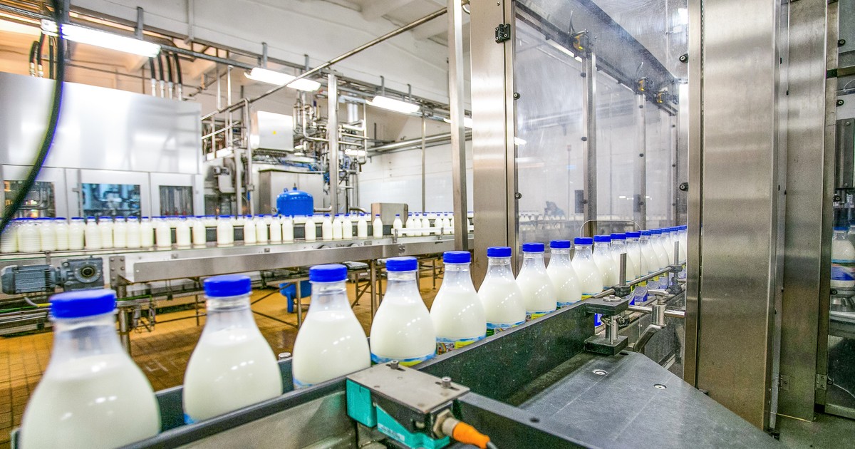 Koniec 90-letniej historii. Polski gigant mleczarski zbankrutował